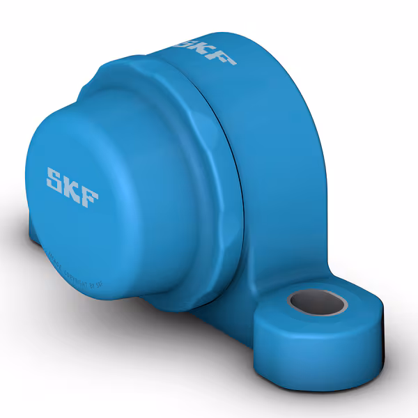 P2BTC 100-CPSS-DFH SKF|SKF P2BTC 100-CPSS-DFH